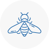 Bee Nest Removal Mexborough