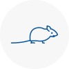Mice Exterminators In Mexborough