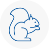 Mexborough Rodent Removals